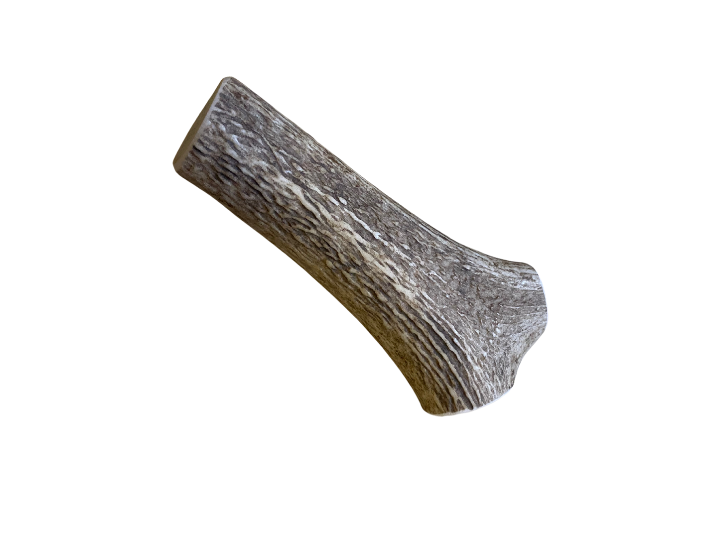 Large Elk Antler Chew