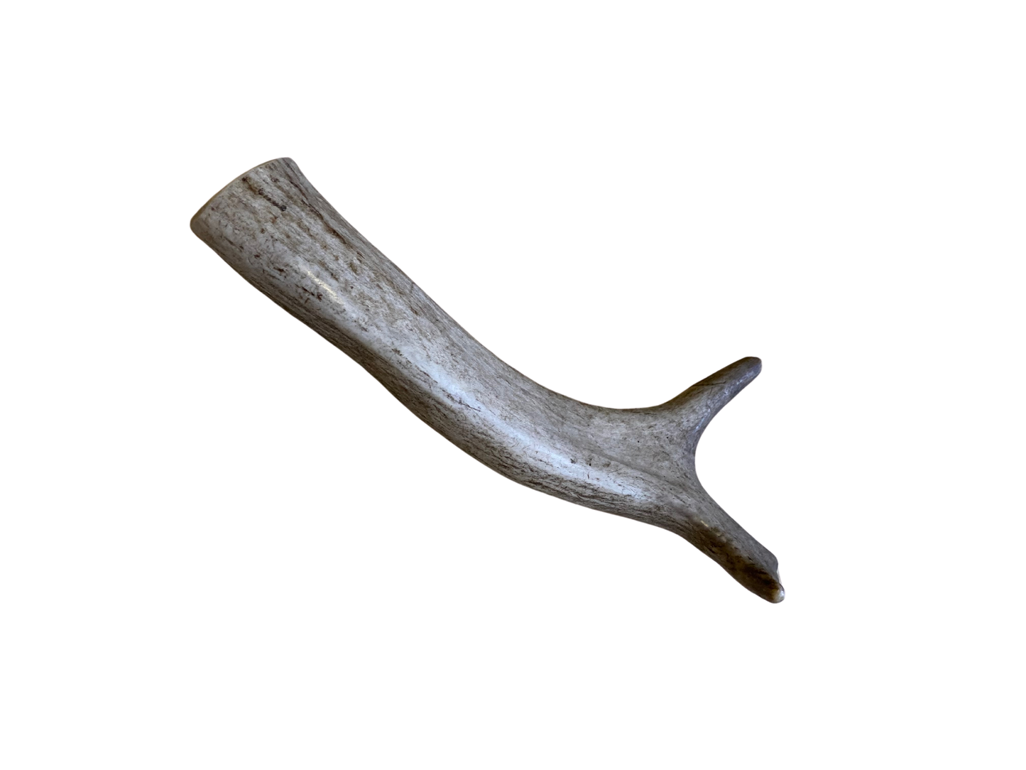 Large Elk Antler Chew