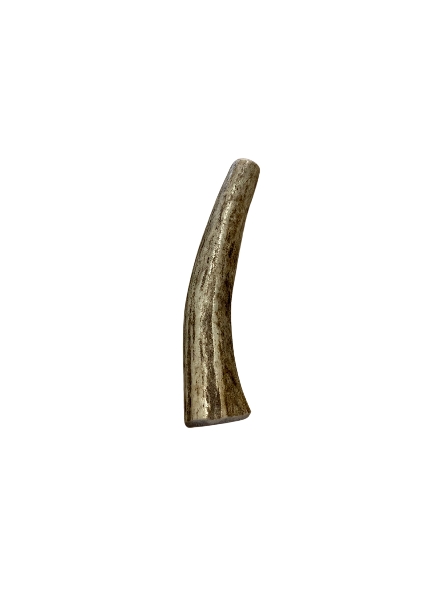 Small Elk Antler Chew