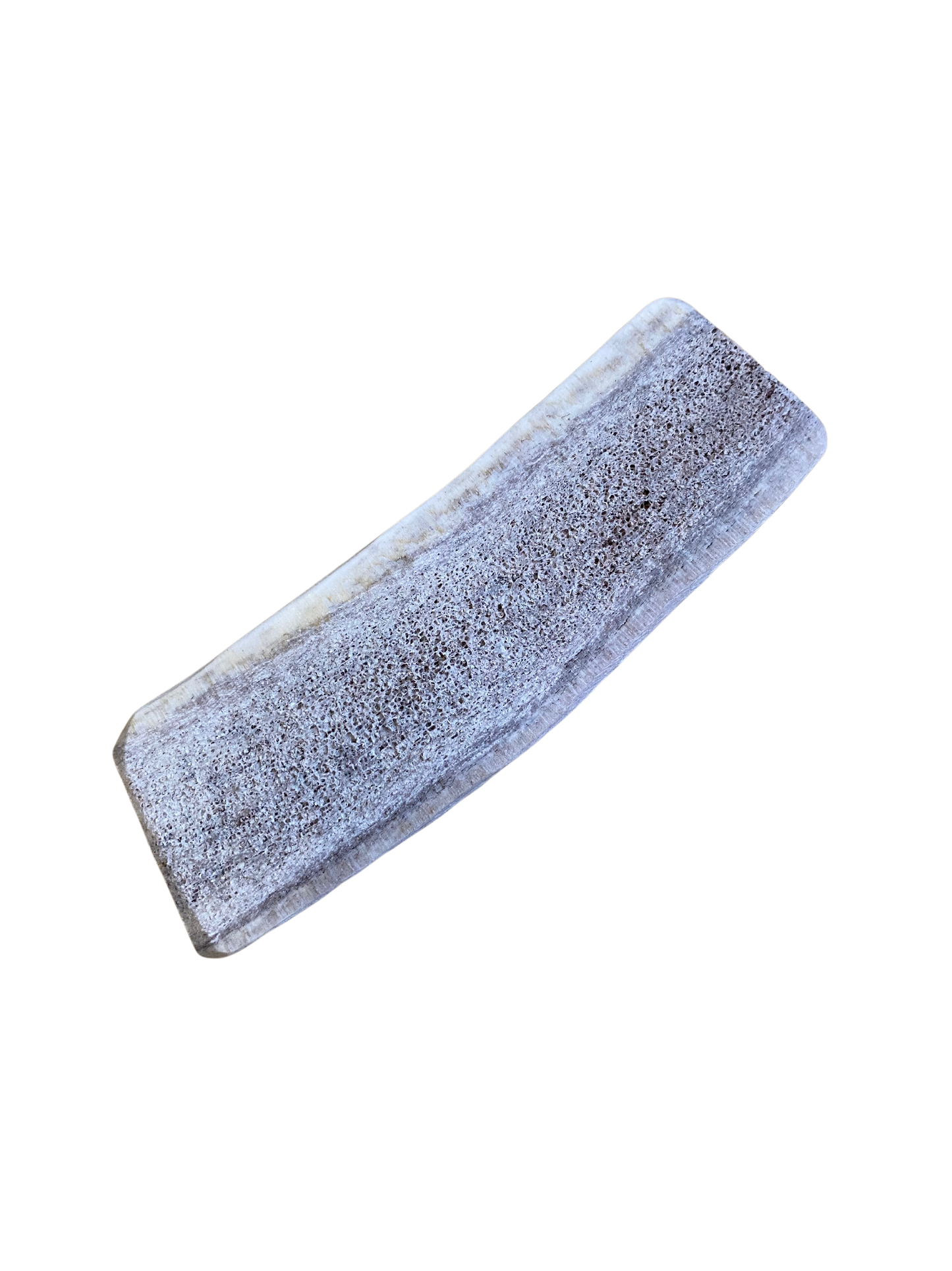 Medium Elk Antler chew