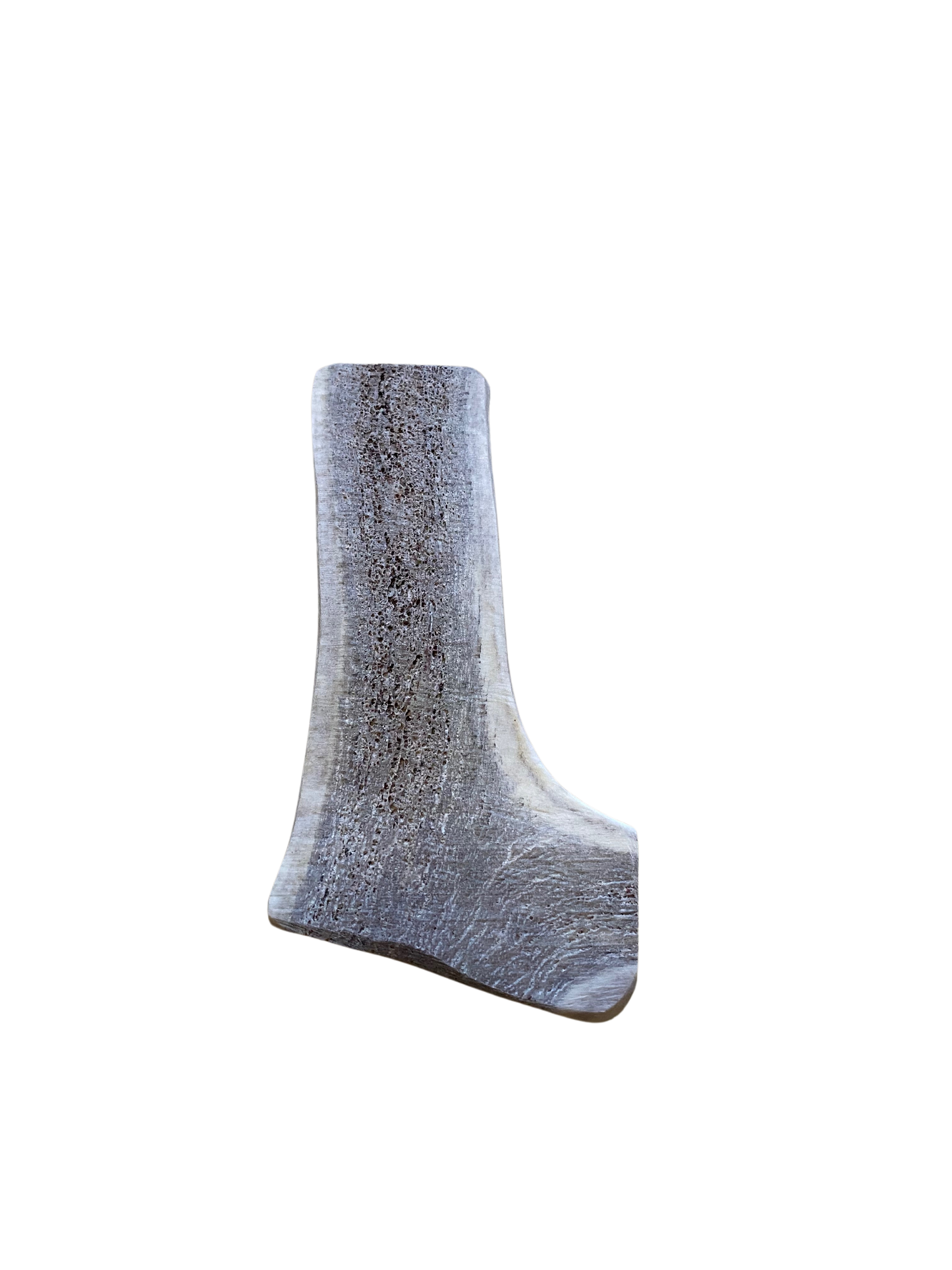 Medium Elk Antler chew