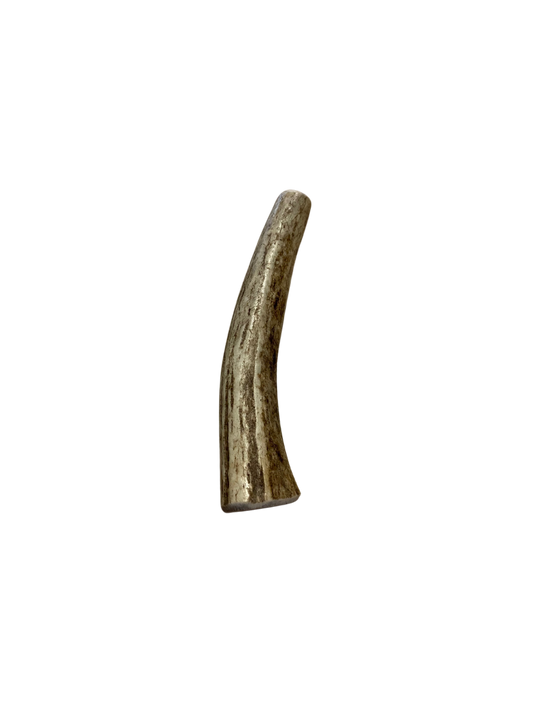 Small Elk Antler Chew