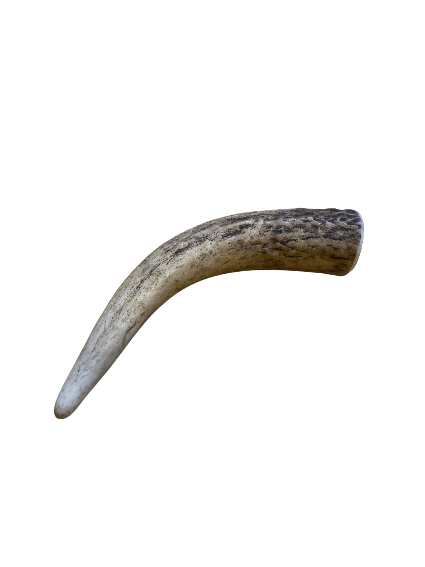 Small Elk Antler Chew