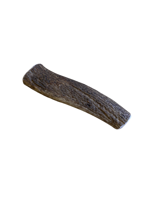 Medium Elk Antler chew